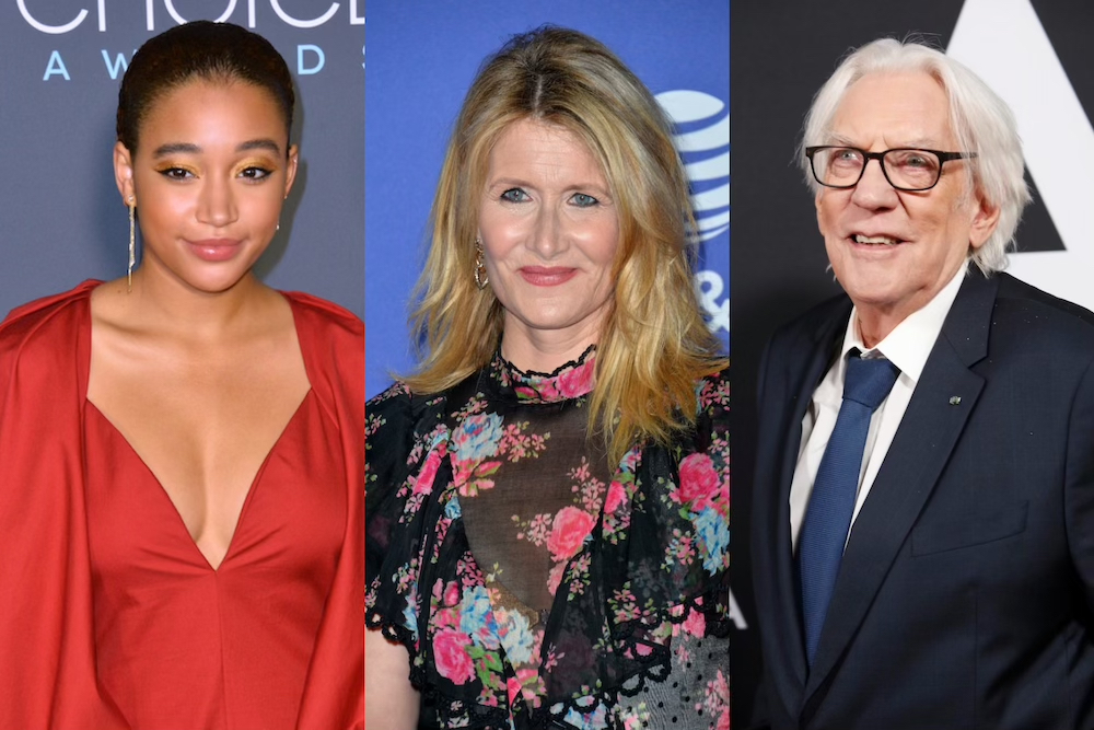Significant personalities such as Amandla Stenberg, Laura Dern, Donald Sutherland, and more are set to star in the animated film Ozi. Currently, the film is in production, and it will focus on deforestation in the Indonesian rainforest.