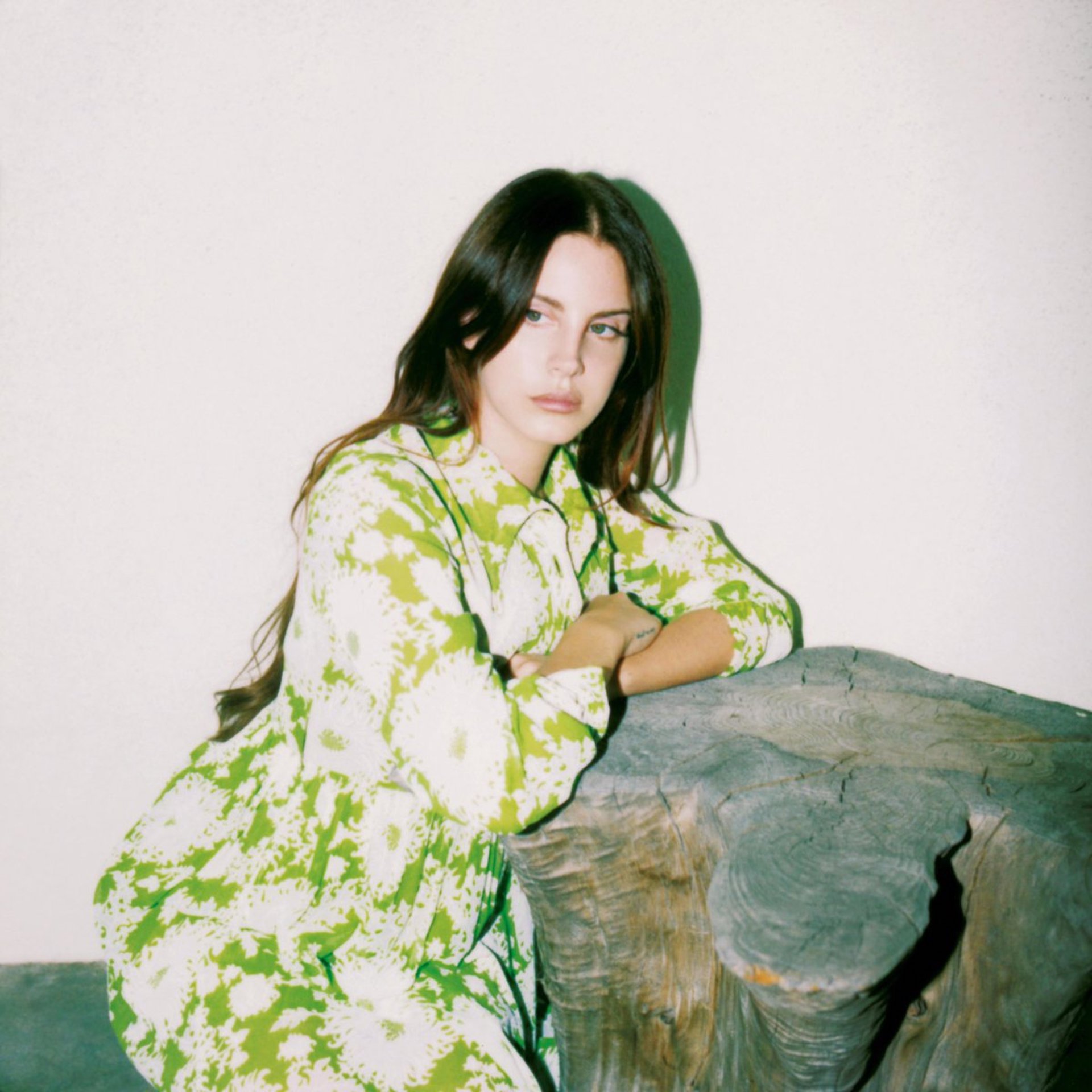 A new Lana Del Rey era is upon us. The "Arcadia" singer announced her new studio album, 'Did You Know That There’s a Tunnel Under Ocean Blvd.'