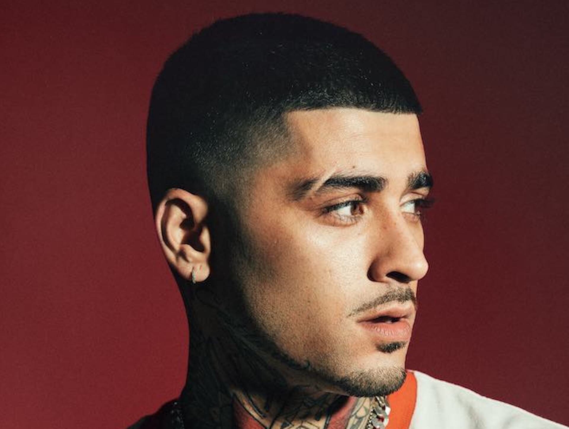 In book, Zayn opens up about eating disorder, 1D, anxiety - Washington Times