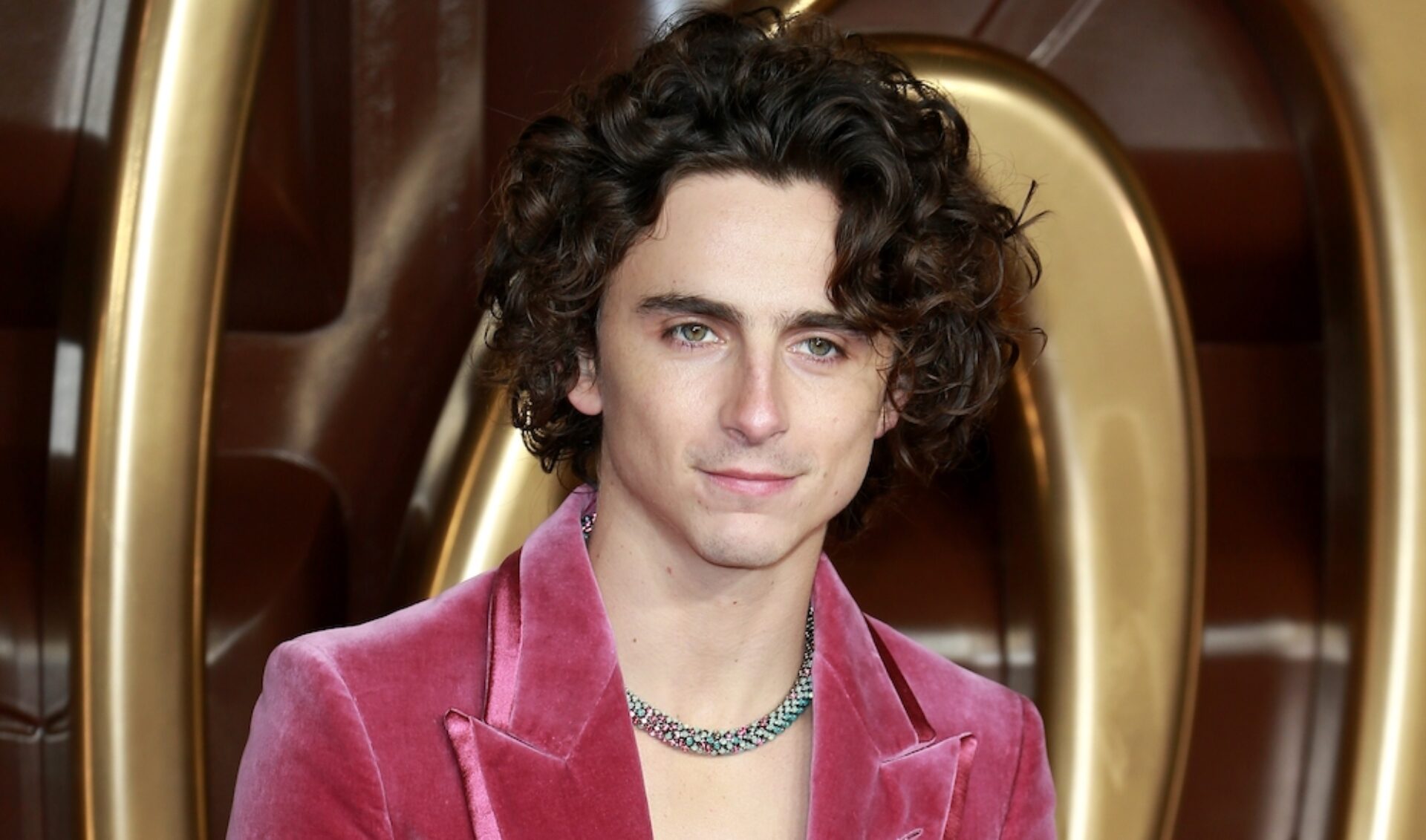 In an interview with Rolling Stones, Wonka director, Paul King shared how Timothée Chalamet's High School YouTube Videos landed him the Willy Wonka role.
