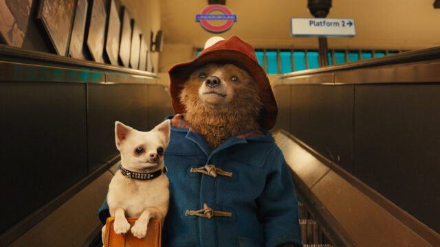 The official trailer and release date is here. Paddington Bear returns to the big screen in the long-awaited third film to the series, 'Paddington in Peru,' this time with all-new scenery.
