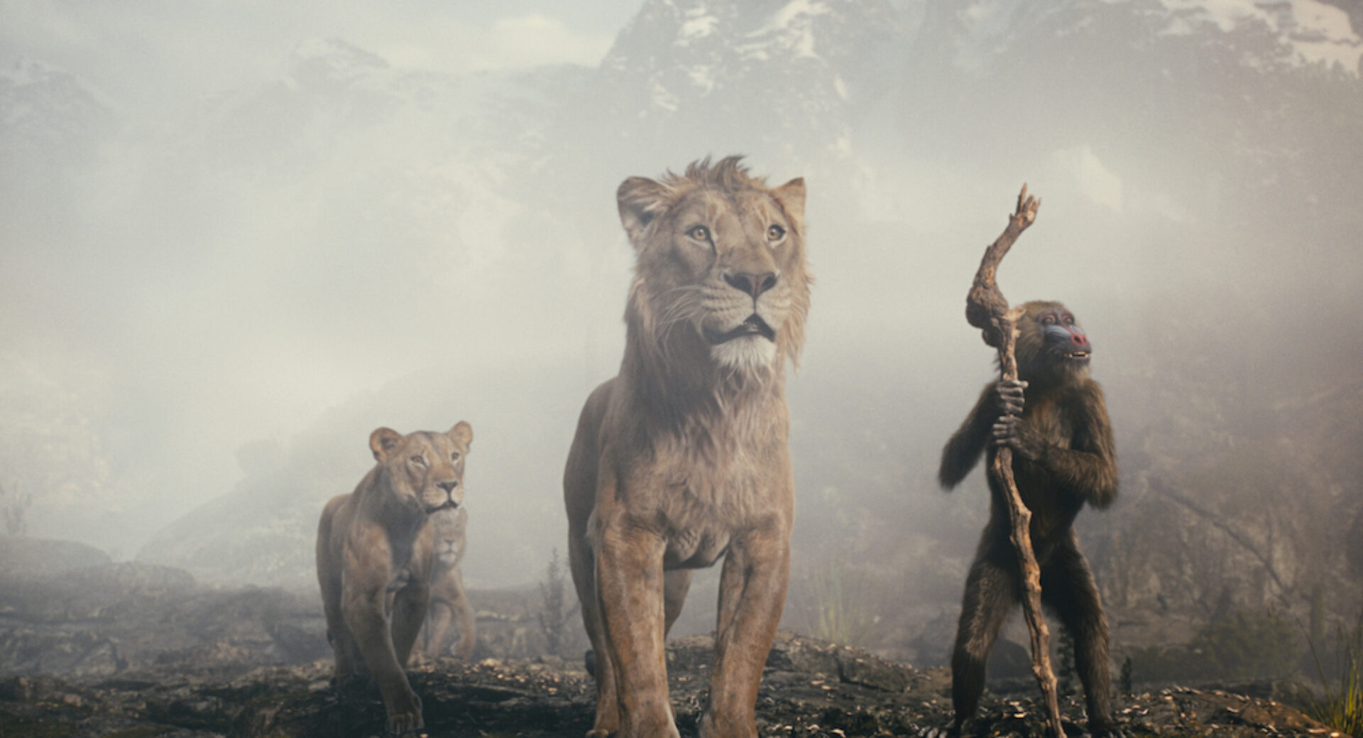 While most of Disney's remakes seem content to retell old stories, 'Mufasa: The Lion King' appears to be taking the franchise in a new direction.