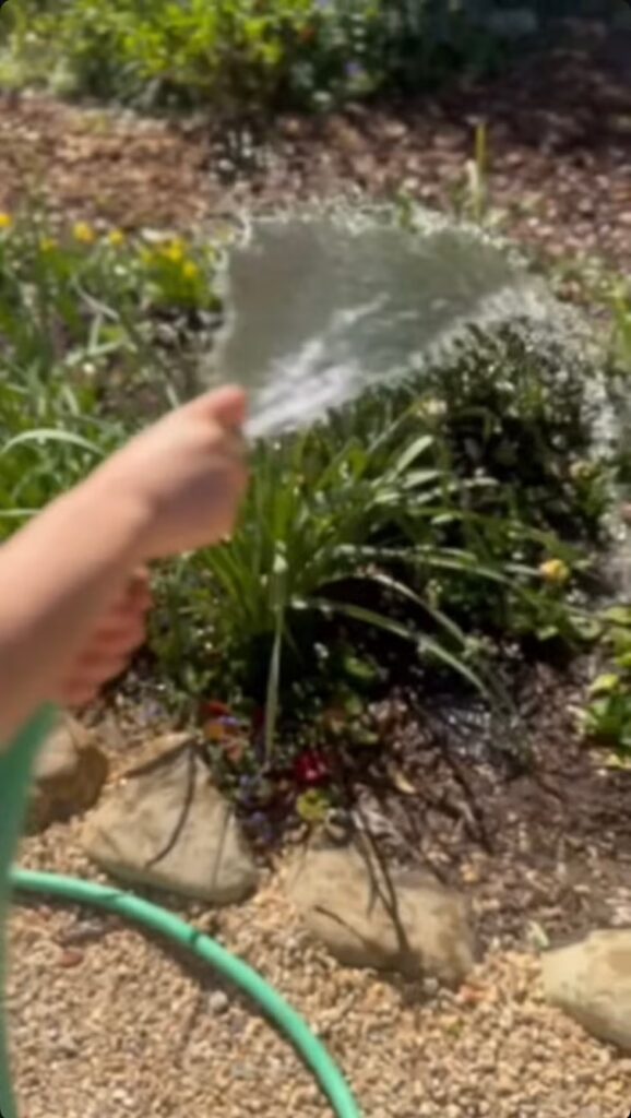 Meghan Markle knows how to keep the world watching. Over the weekend, the Duchess of Sussex took to Instagram to share a glimpse of her sun-soaked California life, wearing a cozy purple Northwestern University sweatshirt while watering the garden with one of her children.